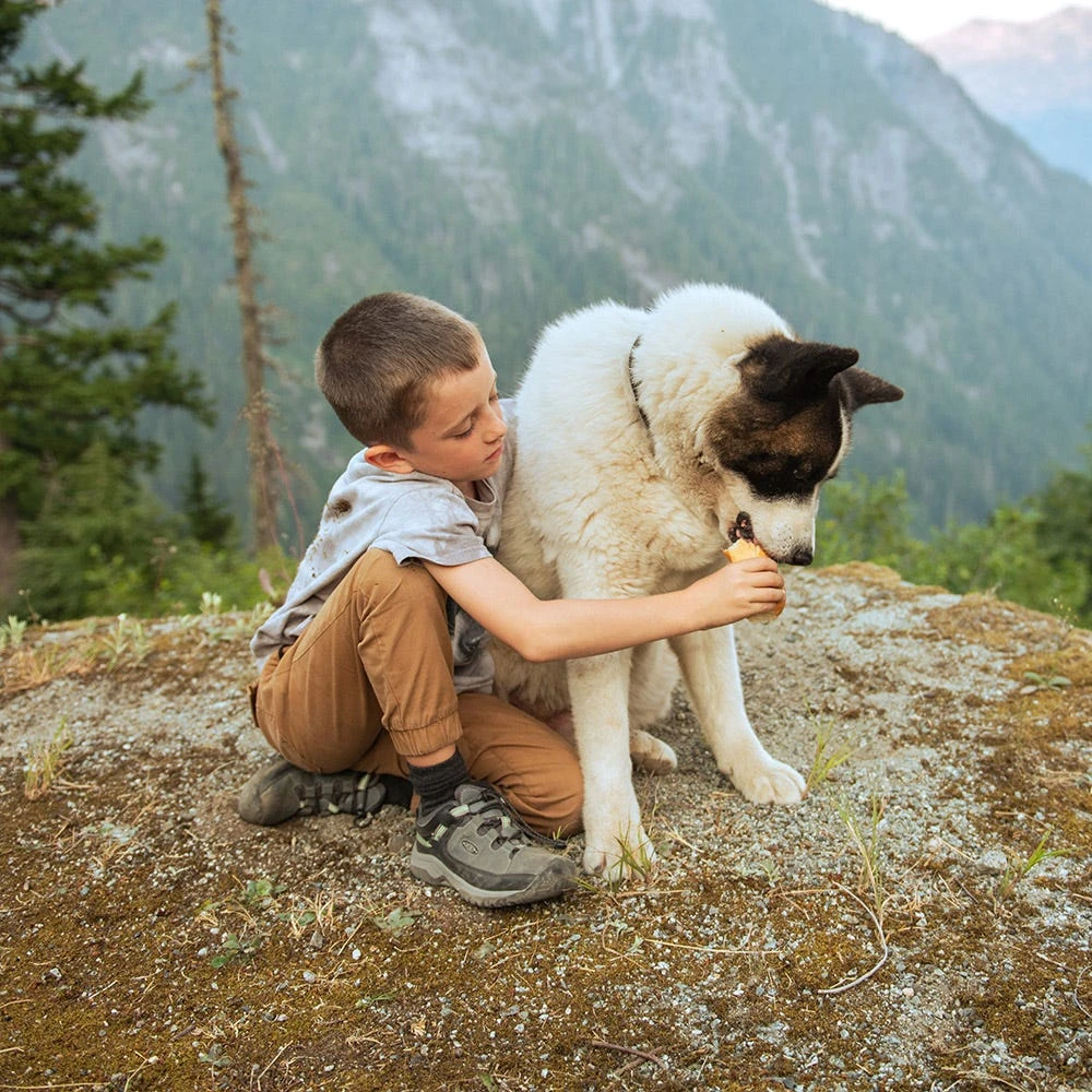 Kids Keen Targhee Low Wp C 6 Kids Keen Targhee Low Wp C - Image 4