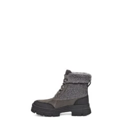 Women's Ugg(r) Ashton Addie Tipped 12 Women's Ugg(r) Ashton Addie Tipped -Classic Shoes Shop 1143858CHRC 3 070523210215