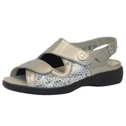 Women's Solidus Lia 73500 H (m) -Classic Shoes Shop 73500 40289 062522035608 1