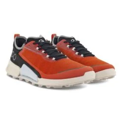 Men's Ecco Biom 2.1 Low Tex