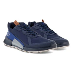 Men's Ecco Biom 2.1 Gtx Low